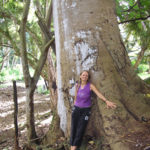 Do Yoga - Großer Baum und Dorothea