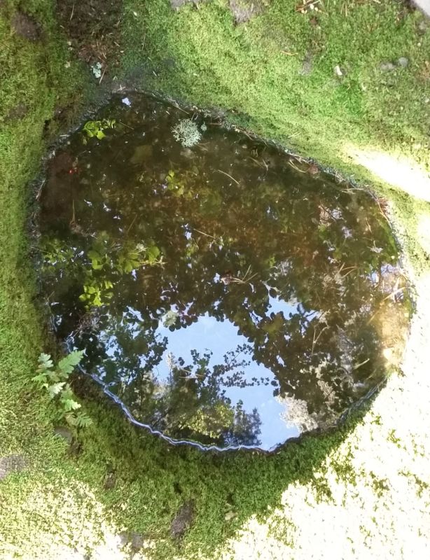 20190616_192949 (2)