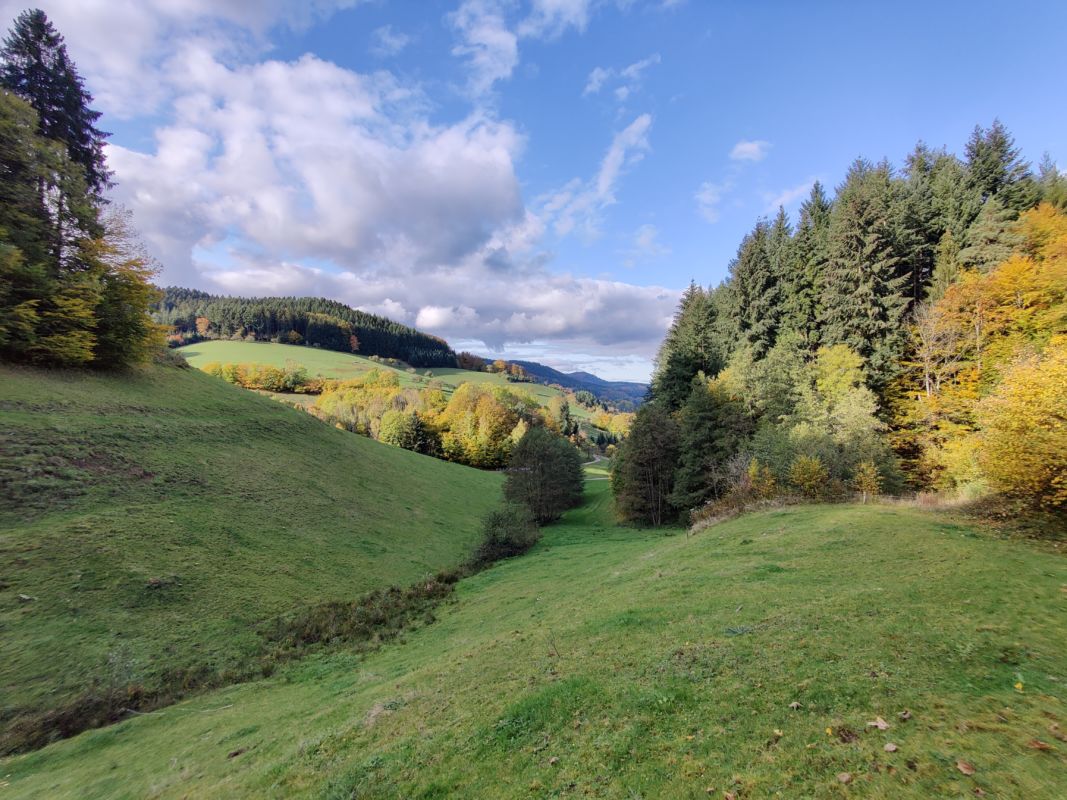 Prinzbachtal